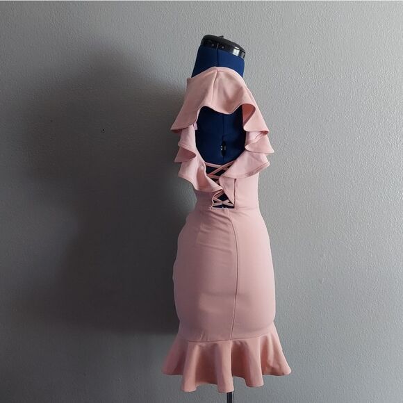 HELLO MOLLY TAKE CHANCES DRESS BLUSH RUFFLE MINI SIZE 4 - Picture 4 of 14